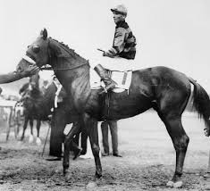 Pin By Andy Penrod On Horses Horses Thoroughbred Horse Racing Triple Crown