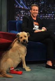 L'acteur Ryan Gosling et son chien adopté "George" 🐾🐕 "Une petite cage n'est pas une vie", c'est le titre de l'article signé par lui dans un journal canadien. L'acteur est un grand