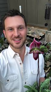 Imbue your indoor environs with an air of the tropics with a Paphiopedilum  orchid! In this Plant Pick, Pat McCafferty showcases the exotic, yet  low-care, Venus slipper orchid. It’s as easy to grow as ...