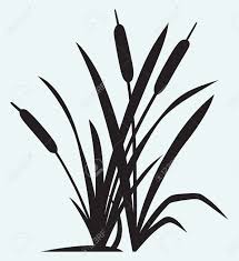 Freepik free vectors, photos and psd freepik online editor edit your freepik templates slidesgo you can only save 3 new edited icons per collection as a free user. Cattail Cliparts Stock Vector And Royalty Free Cattail Illustrations Silhouette Clip Art Camo Stencil Silhouette Vector