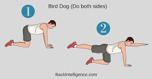 If you're looking to engage your lower back muscles, relieve back pain, and improve your posture, these 5 exercises are a must. 6 Exercises To Strengthen Lower Back And Core Muscles
