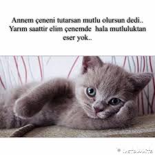Crazy Blink Adli Kullanicinin Bolum 2 Var Ebu Hureyre Sen Kedi Babasi Panosundaki Pin Komik Seyler Komik Komik Alintilar