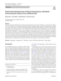 Image result for Dipcadi rigidifolium