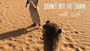 .but i somehow had to smirk at guy get's killed by a camel over a can of coke. Dutch Camel Farm Smits Dairy The Only Camel Dairy In Europe Dutch Dutch Goose