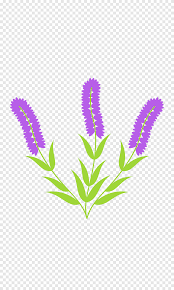 The following dictionary lists scientific names of plant families that belong to the division of flowering plants. Flowers Names Plant Stem Flowering Plant Flower Purple English Png Pngegg