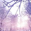 Farouk yahaya received his b.sc. Farouk Yahaya Phd Student Ph D Student Universite Du Littoral Cote D Opale Ulco Dunkerque Ulco Maison De La Recherche Blaise Pascal