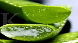 Tapi tak perlu banyak pun, sikit cukup. 5 Bahan Alami Ini Cocok Dijadikan Masker Untuk Jerawat