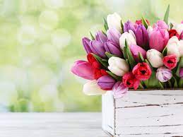 Frasi sogni d'oro vita positivo Scarica Gratis Immagini Di Fiori Per Il Buongiorno Buonanotte E Buon Compleanno