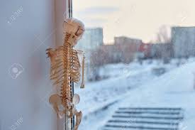Your front yard will be the talk of the neighborhood with our 12 ft. A Close Up Shot Of A Human Body A Skeleton A Figure Standing In The Corner