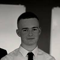 300+ "Shevlin" profiles