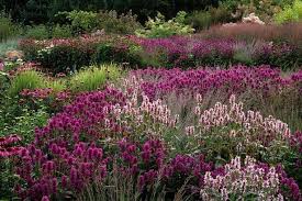 Piet Oudolf Dutch Gardens Plants Landscape Design