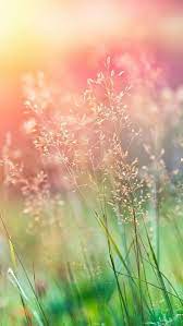 Wallpaper Mobile Wallpaper Wallpaper Iphone Solid Color Wallpaper Colorful Wallpaper Landscape Wall Landscape Wallpaper Nature Wallpaper Nature Photography