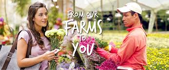 Whether you'er a professional florist or diy type, that's planning a wedding, event or just love flowers. Continental Flowers Growers Importers Distributors