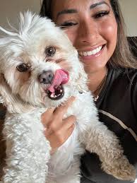 This is bella noel my 9 year old chi❤️ i love her unconditionally