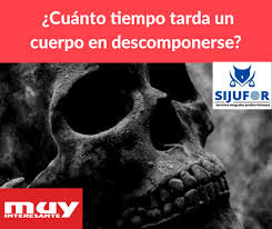 Cuanto Tiempo Tarda Un Cuerpo En Descomponerse Sijufor