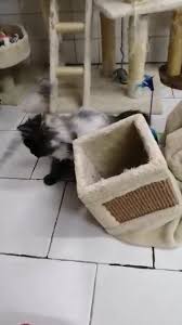 We did not find results for: Spa Salon De Provence Home Facebook