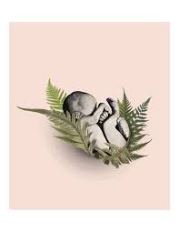 Pin On Botanical Birth Art