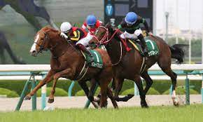 é³´å°¾è¨˜å¿µ ã¾ãŸç¦æ°¸ è¶…ä¹…ã€…ãƒ'ãƒ•ã‚©ãƒ¼ãƒžãƒ—ãƒ­ãƒŸã‚¹ã§v ä¸­404æ—¥ã§ã®é‡è³žåˆ¶è¦‡ã¯jraå²ä¸Š3ä½ ã‚¹ãƒãƒ‹ãƒ Sponichi Annex ã‚®ãƒ£ãƒ³ãƒ–ãƒ«