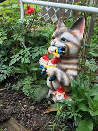 Pin Auf Katzen Garten