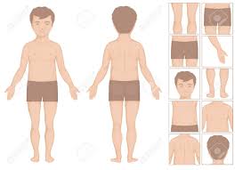 Partes Del Cuerpo Humano O Nino Ilustracion Vectorial De Dibujos Animados Para Ninos Ilustraciones Vectoriales Clip Art Vectorizado Libre De Derechos Image 27524753