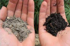 Pin On Gardening Soil Compost Mulch And Fertilizer
