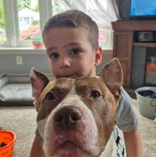 Removing side bow seats from a 2003 gx185