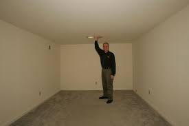 Image Result For Finished Basement Ideas Low Ceiling Basement Ceiling Low Ceiling Basement Unfinished Basement Ceiling