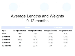 12 True Average Baby Size And Weight Chart