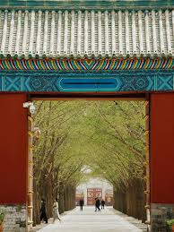 Image result for Ditan