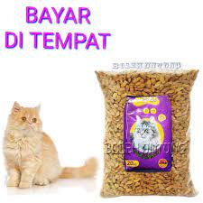 Selain memiliki rupa yang baik kucing ini ternyata bisa. Makanan Kucing Anggora Persia Himalaya Maincoon Kampung Bolt Ikan Repack 500 Gram Lazada Indonesia