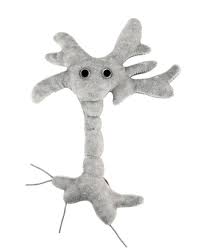 Image result for brain cell