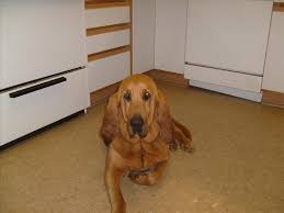 Rita Boling Obituary (2013)