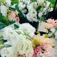Farmers Market — Aledo Main Street