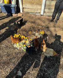 Estoy Feliz! ❤️ Back in my element but this time I get to share it with a  community. There was nothing but good vibes from beautiful souls coming