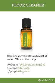 Place paper roll half into the container with a lid. The Best Diy Doterra Cleaning Recipes Best Essential Oils Essential Oils Cleaning Essential Oil Recipes Essential Oils