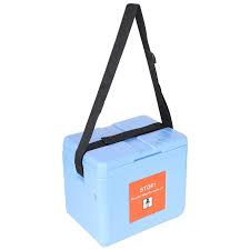 FAIRBIZPS Mini Vaccine Carrier Box with 2 Ice Pack Small ...