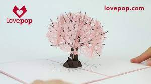 To get the lowest price and save the most when you shop online for lovepopcards.com, please check the following offers page! Lovepop Cards The Unexpected Amazing Gift Sent In An Envelope Discount Code Emily Reviews