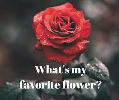 Creating a favourites list in django, what would be the best option a new model or an array of dictionaries? The 101 Favorite Things Quiz Hobbylark