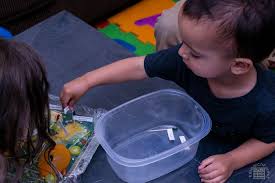 Check spelling or type a new query. Plant Cell Model Researchparent Com