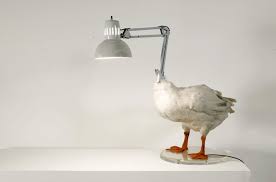 aptly named duck lamp by chilean born nyc based artist sebastian errazuriz dieren doe het zelf inspirerend
