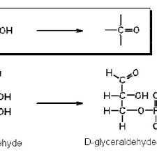 A Cut Out From The Biochemical Pathways Wall Chart