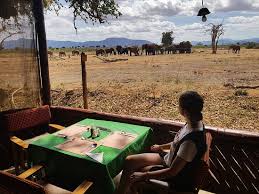Featuring a bar, a garden and a terrace, royal suburb by tsavo offers accommodations in nairobi, 6 miles from nairobi national museum and 7 miles from kenyatta international conference centre. Camera E Parco Picture Of Sentrim Tsavo East Tsavo National Park East Tripadvisor