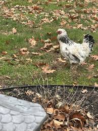 St. Matthews Matters news and events