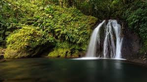 Que Faire En Guadeloupe Les Activites A Ne Pas Manquer Que Faire En Guadeloupe Guadeloupe Voyage Guadeloupe
