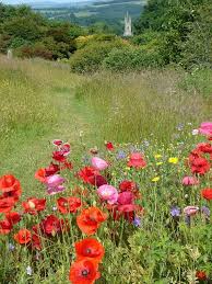 Earline Barber Obituary
