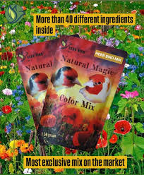 Natural Magic Color Mix (150 grams) - Herb Bird Mix – Birdshop Christina  Pet Shop