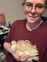 Show me you frizzle sizzles .... its