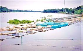 Image result for à¦¨à¦¦à§€à¦° à¦‰à¦ªà¦° à¦­à¦¾à¦¸à¦®à¦¾à¦¨ à¦–à¦¾à¦šà¦¾à¦¯à¦¼ à¦®à§Žà¦¸à§à¦¯ à¦šà¦¾à¦·