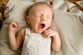 ✨ Unvergessliche Momente