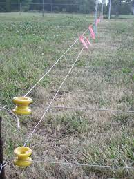 A fence can help protect crops, but remember that raccoons are good climbers. A Treatise On Electric Fencing Backyard Chickens Learn How To Raise Chickens